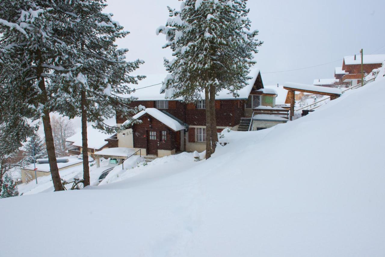 Chalet 4 Personnes Avec Sauna Leysin Ngoại thất bức ảnh