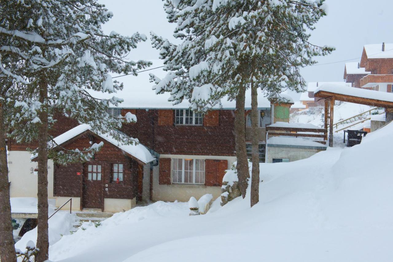 Chalet 4 Personnes Avec Sauna Leysin Ngoại thất bức ảnh